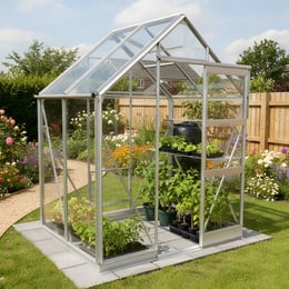 Elite High Eave 6x4 Greenhouse