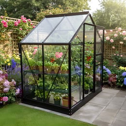 Vitavia 6x4 Black Venus 2500 Greenhouse